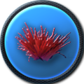 Thumbnail for version as of 08:29, 10 March 2015