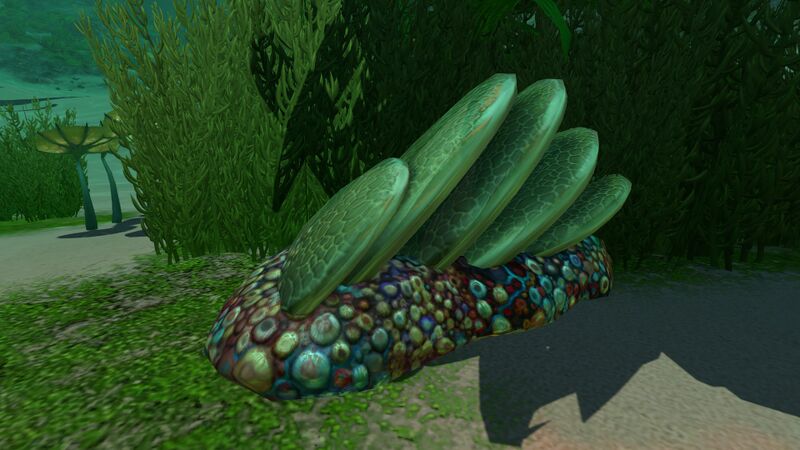 File:Slantedplatekelp.jpg