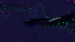 Squidshark DTB.png