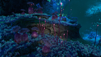 Large amount of Pink Narrowleaf in the Twisty Bridges biome.
