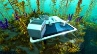 A Tech Site in the Arctic Kelp Forest