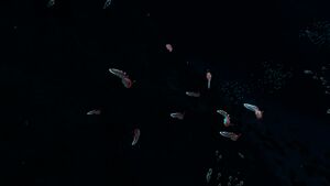 2016-01-15 00017.jpg