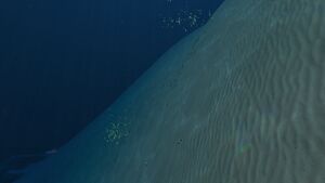 2016-02-07 00015.jpg