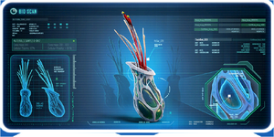 Frozen River Plant 02 Ency.png