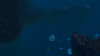A large opening into the Deep Grand Reef