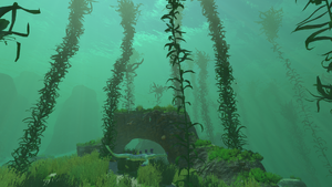 Kelp Forest Shallow.png