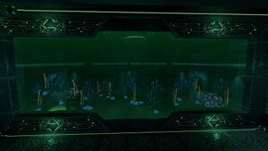 PipeAquarium1.jpg