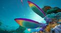 Development screenshot, featuring a Waterslug. Revealed in a time capsule in-game.