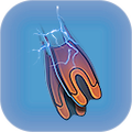 Icon for Swimcharge Fins Upgrade