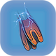 Swim Charge Fins.png