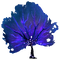 Purple Fan Flora.png
