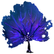 Purple Fan Flora.png