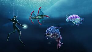 Arctic ray concept.jpg