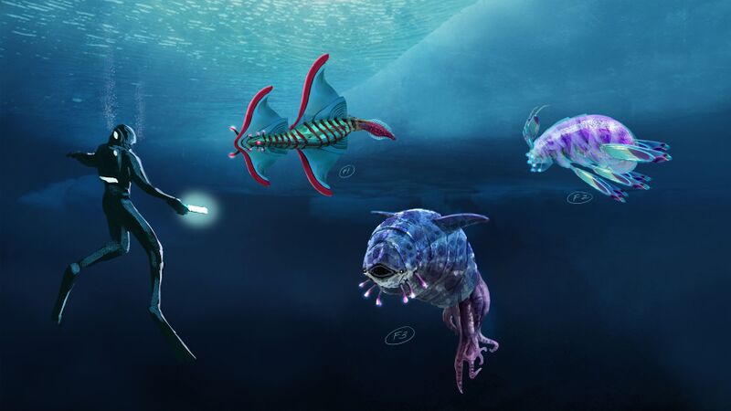 File:Arctic ray concept.jpg