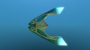 Boomerang 10.jpg