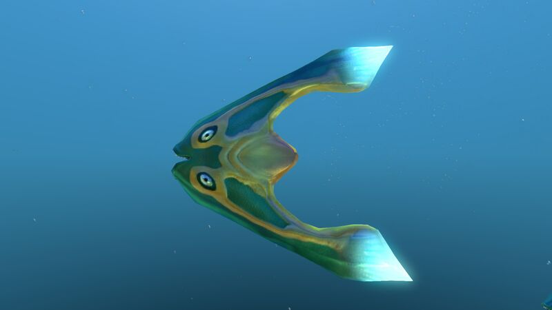 File:Boomerang 10.jpg