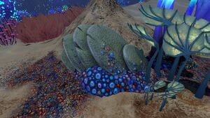 Slantedplatekoosh.jpg