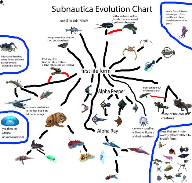 File:Subnautica evolution chart 1.0.jpg