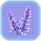 Violet Beau.png
