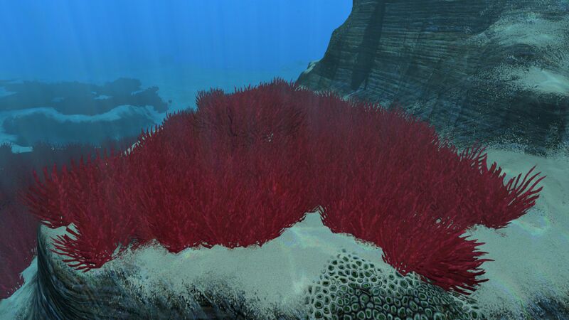 File:BloodgrassDay.jpg