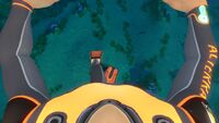 The Fins while on the player's feet.