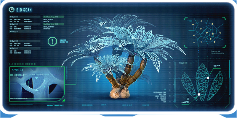 File:Frosted Leaves Plant Ency.png