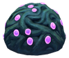 Jelly Plant Flora.png