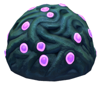 Jelly Plant Flora.png