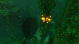 Kelp Forest Wreck (18).jpg