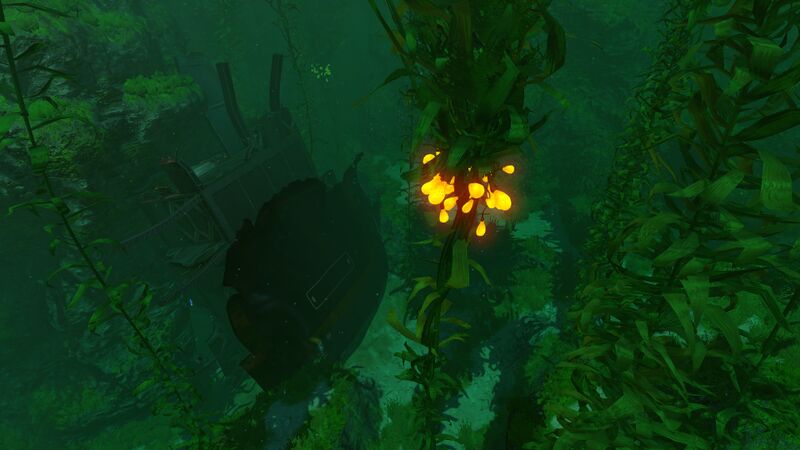 File:Kelp Forest Wreck (18).jpg
