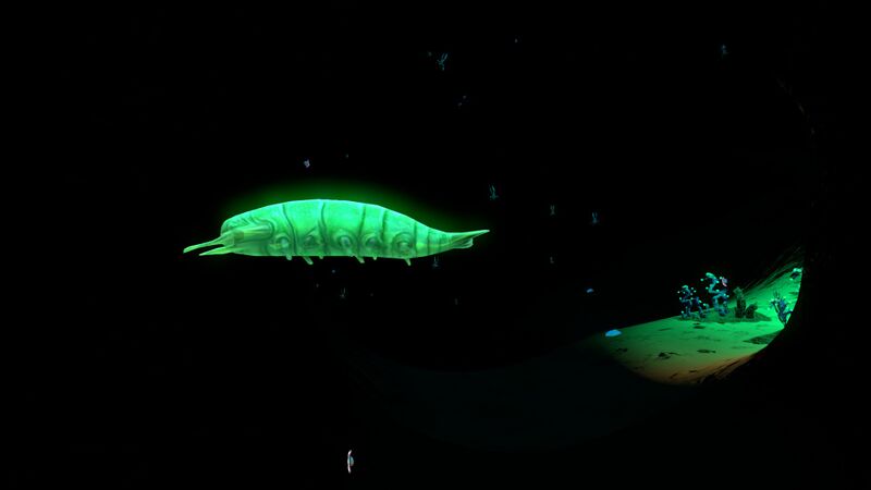File:Rockgrub4.jpg