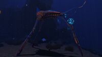 Size comparison to the player