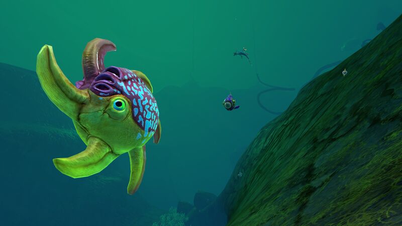File:SpinnerfishLI2.jpg