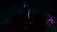 Bioluminescence