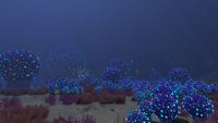BulbZoneTrue.png