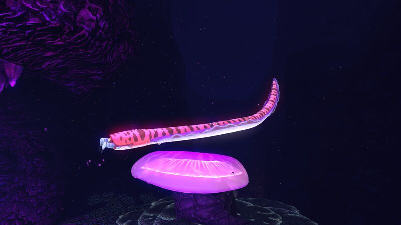 File:Crabsnake6.jpg