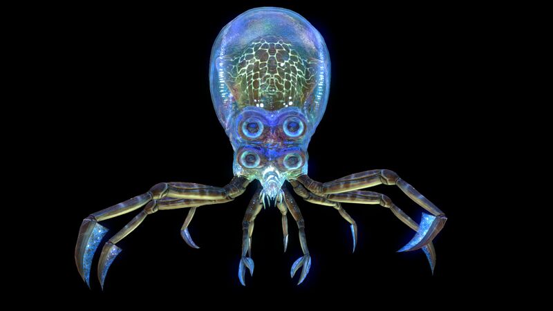 File:Crabsquid3.jpg