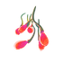 Creepvine Seed Cluster Icon.png