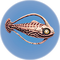 Cured Spinefish.png