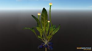 Farming Plant 2 In-game.jpg