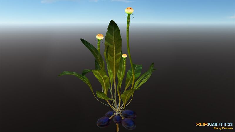 File:Farming Plant 2 In-game.jpg