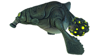 Gasopod Fauna.png