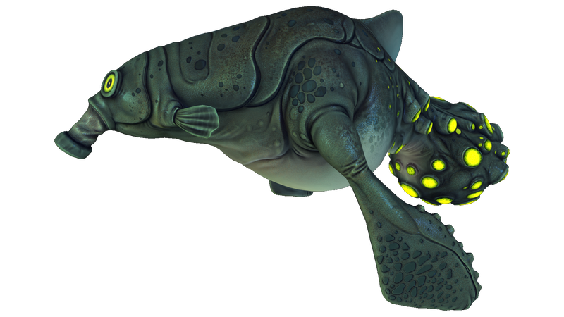 File:Gasopod Fauna.png