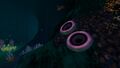 Tree Leeches on the cave's wall