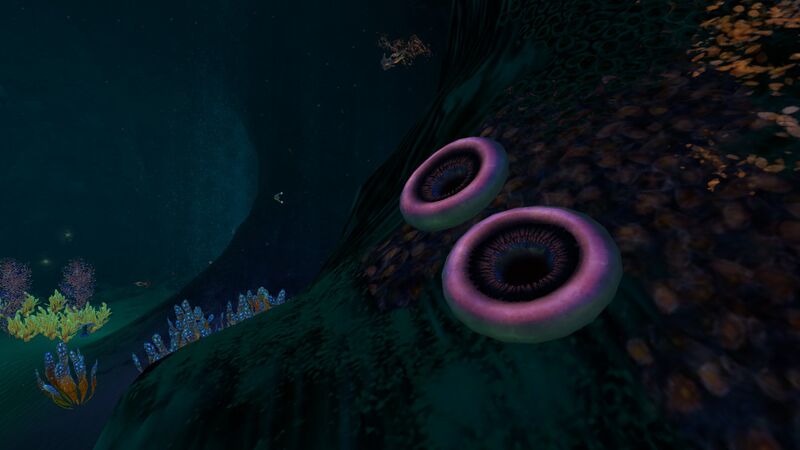 File:Mountain Range Caves (14).jpg