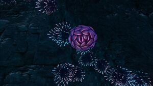 Purple Pinecone (4).jpg