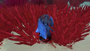 Sand Shark Egg (1).jpg