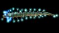 Thumbnail for version as of 14:52, 29 September 2016