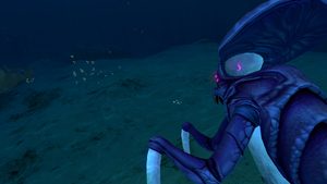 WarpsRevived3.png