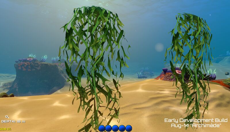 File:CoralReefHangingSeaweed.jpg